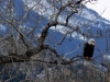 Eagle Eyed (Montana)