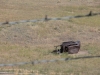 Rust & Rails (Montana) 