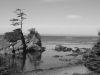 Garibaldi Coast (Oregon)