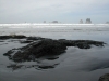 La Push Beach (Second Beach - WA Coast) 